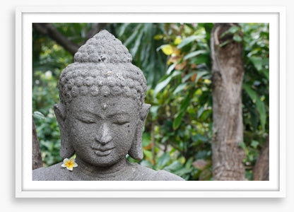 Frangipani buddha