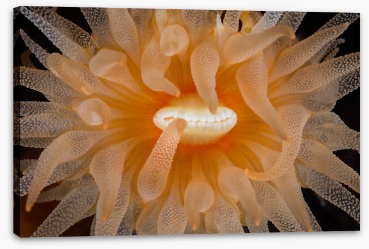 Underwater