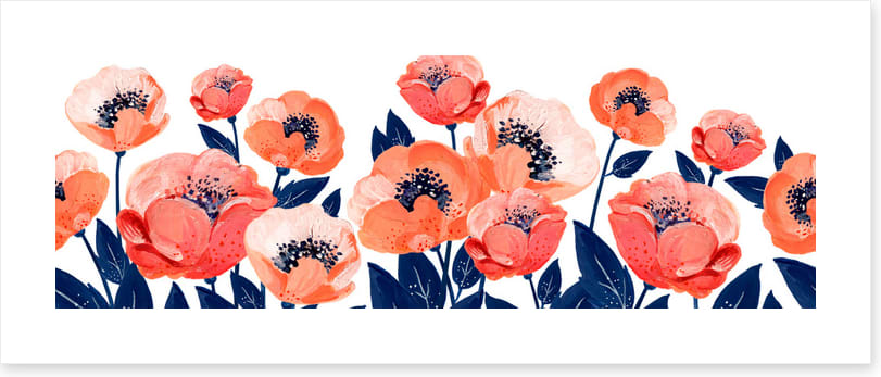The anemone garden
