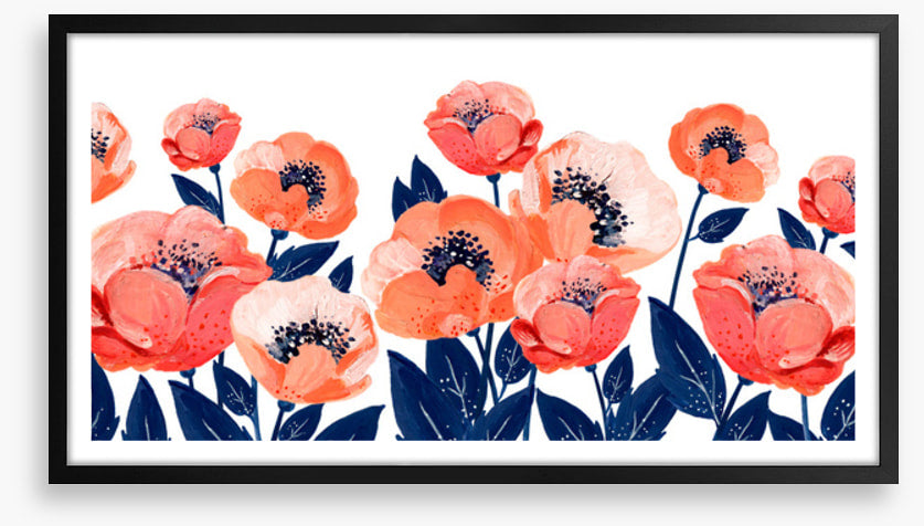 The anemone garden
