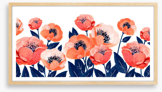 The anemone garden