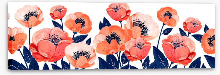 The anemone garden