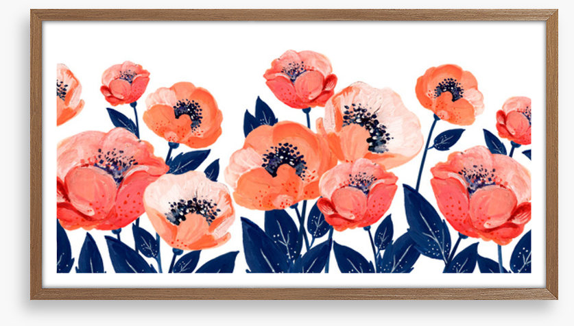 The anemone garden