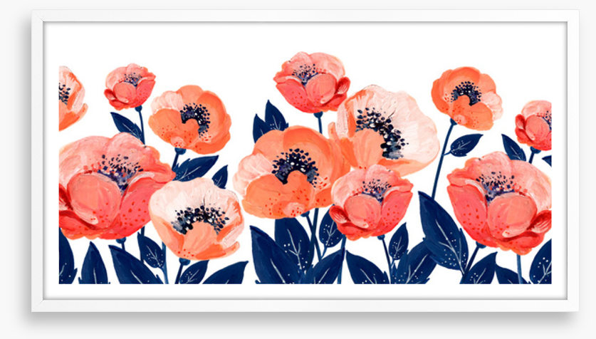 The anemone garden