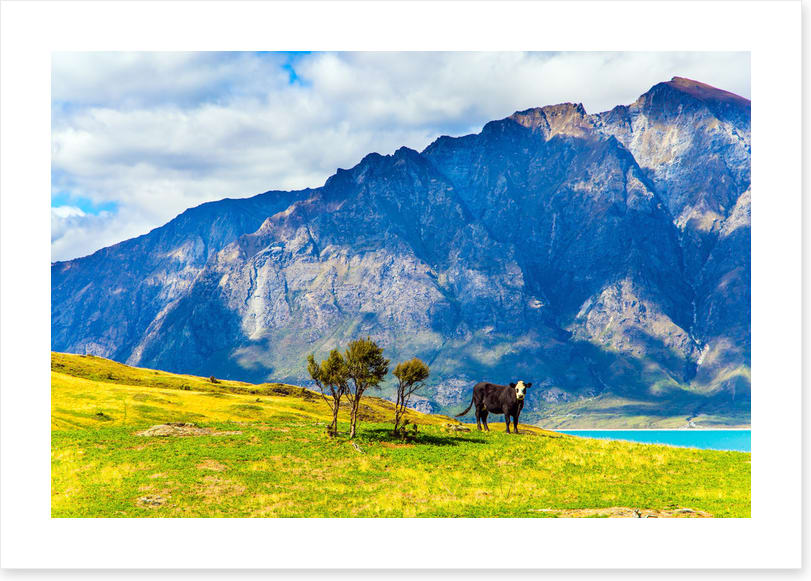 New Zealand