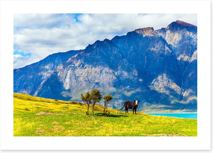 New Zealand