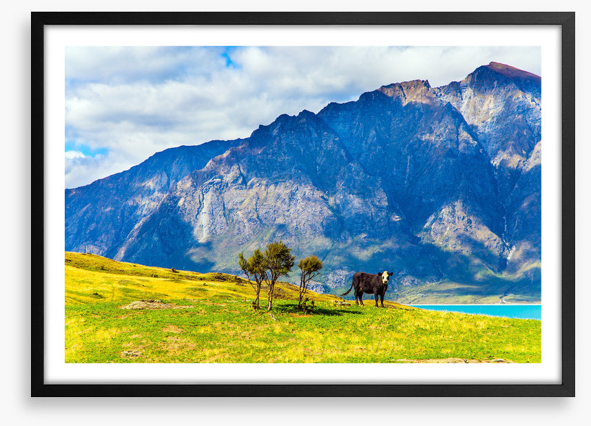 New Zealand