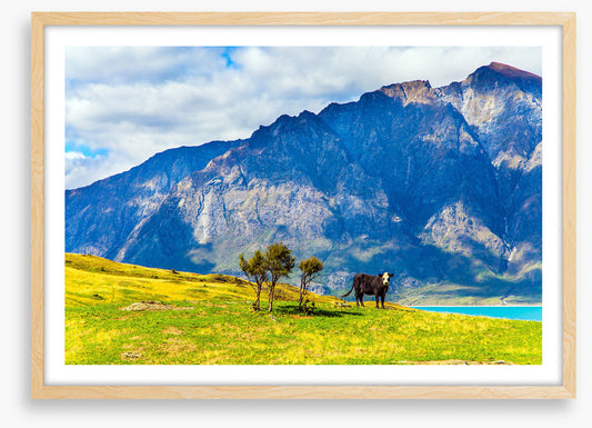 New Zealand