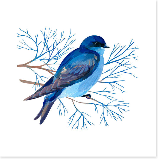 Bluebird branch