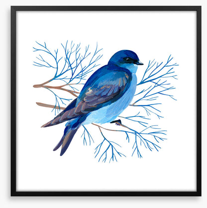 Bluebird branch