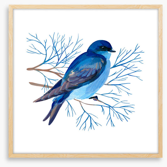 Bluebird branch