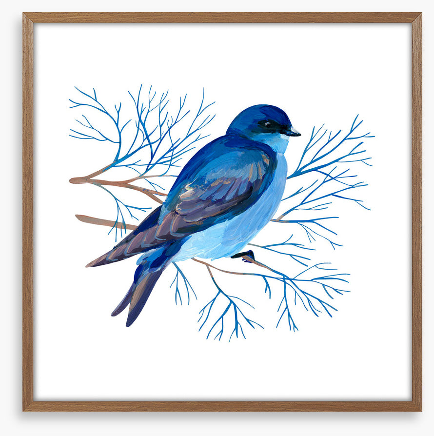 Bluebird branch