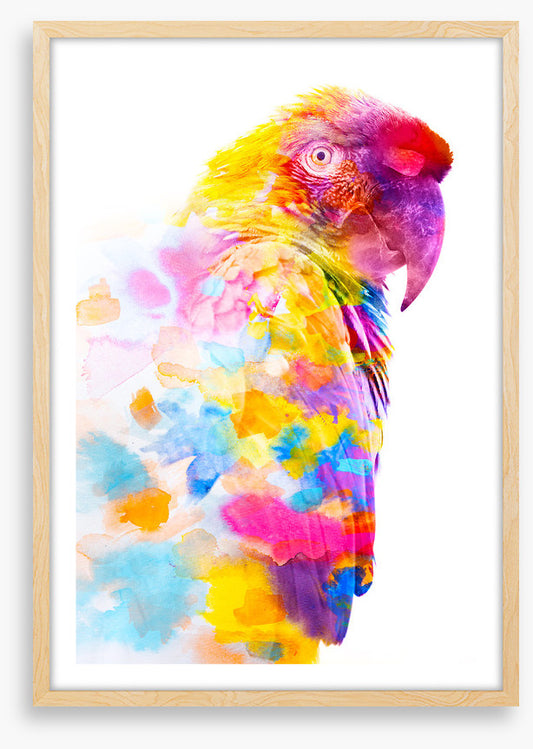 Party plumage II
