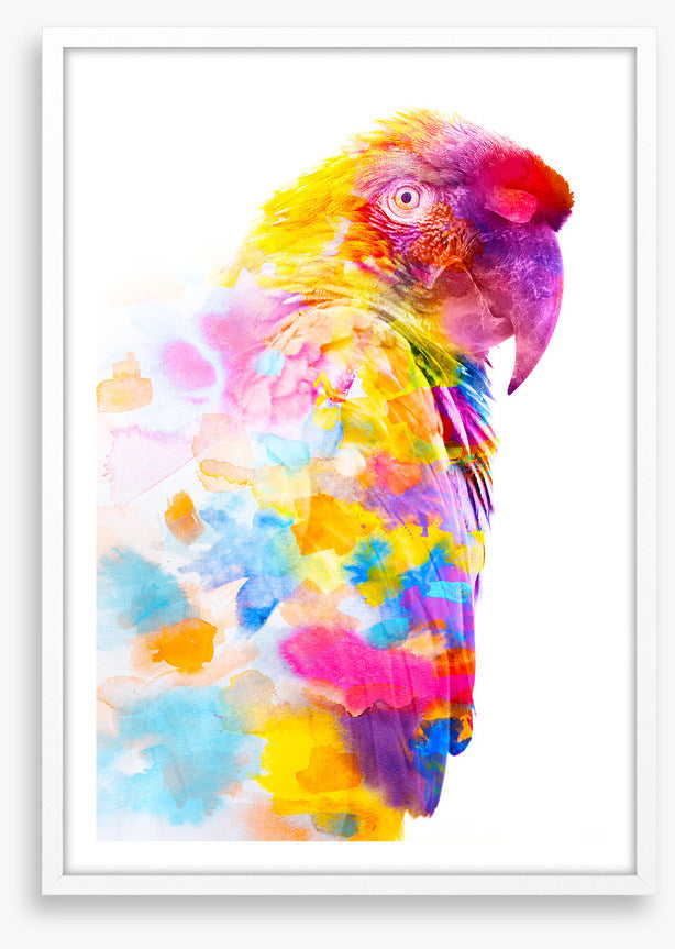Party plumage II