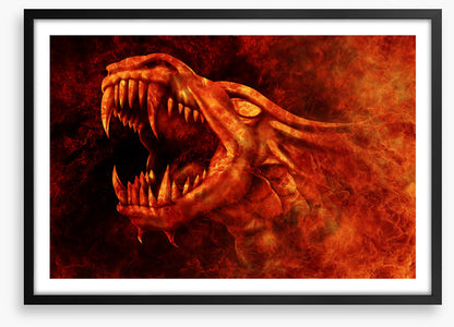 Dragons