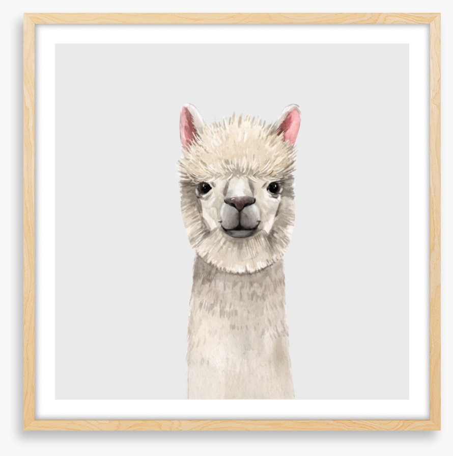 La-la-llama