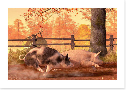 Animals