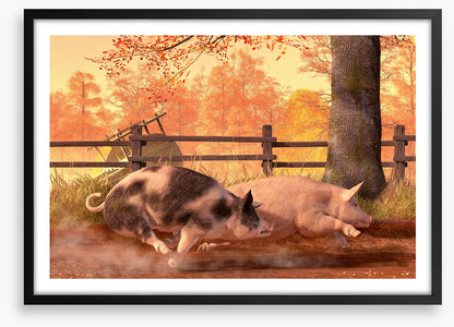 Animals