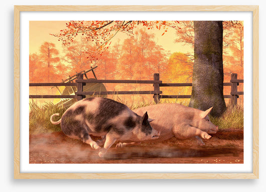 Animals