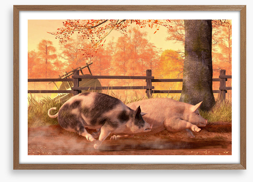 Animals