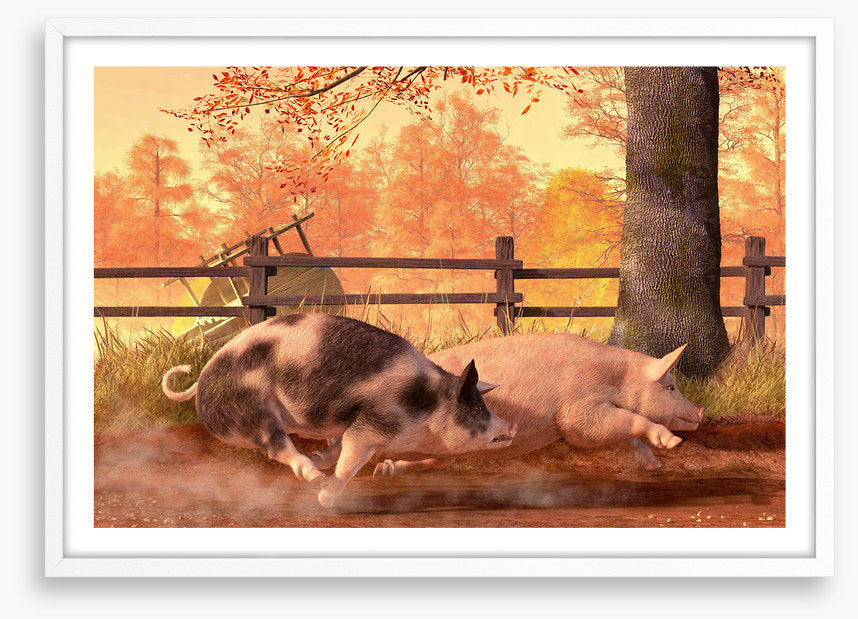 Animals