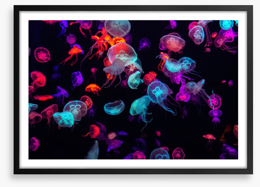 Neon jellies