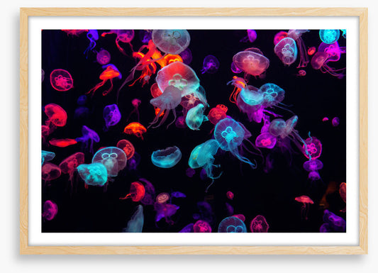 Neon jellies