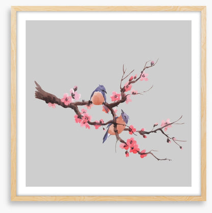 Sakura songbirds