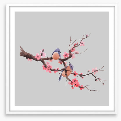 Sakura songbirds