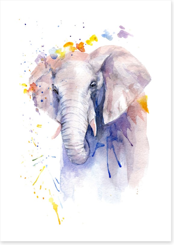 Elephant aura
