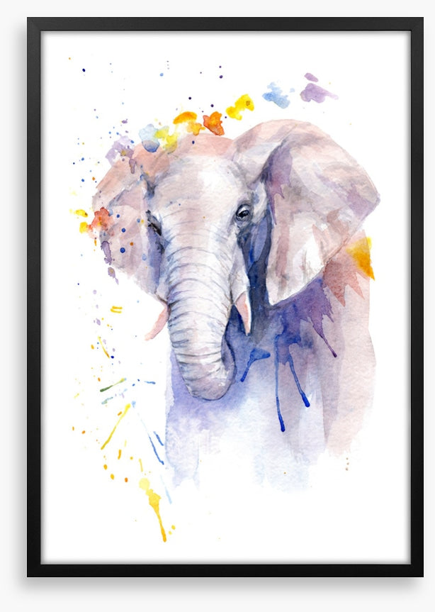 Elephant aura