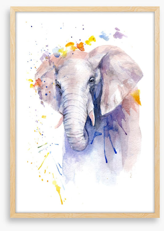 Elephant aura
