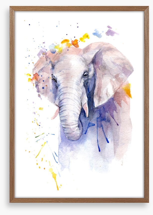 Elephant aura