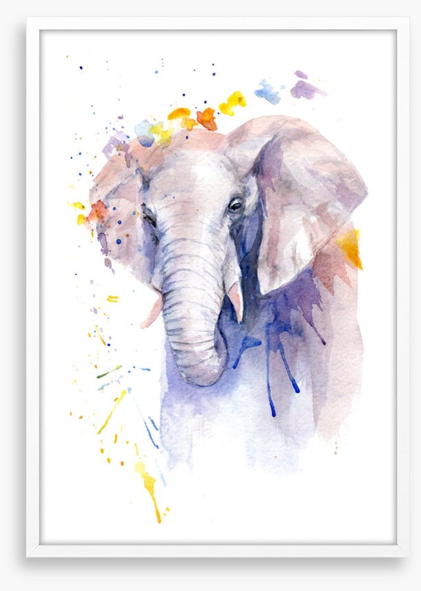 Elephant aura