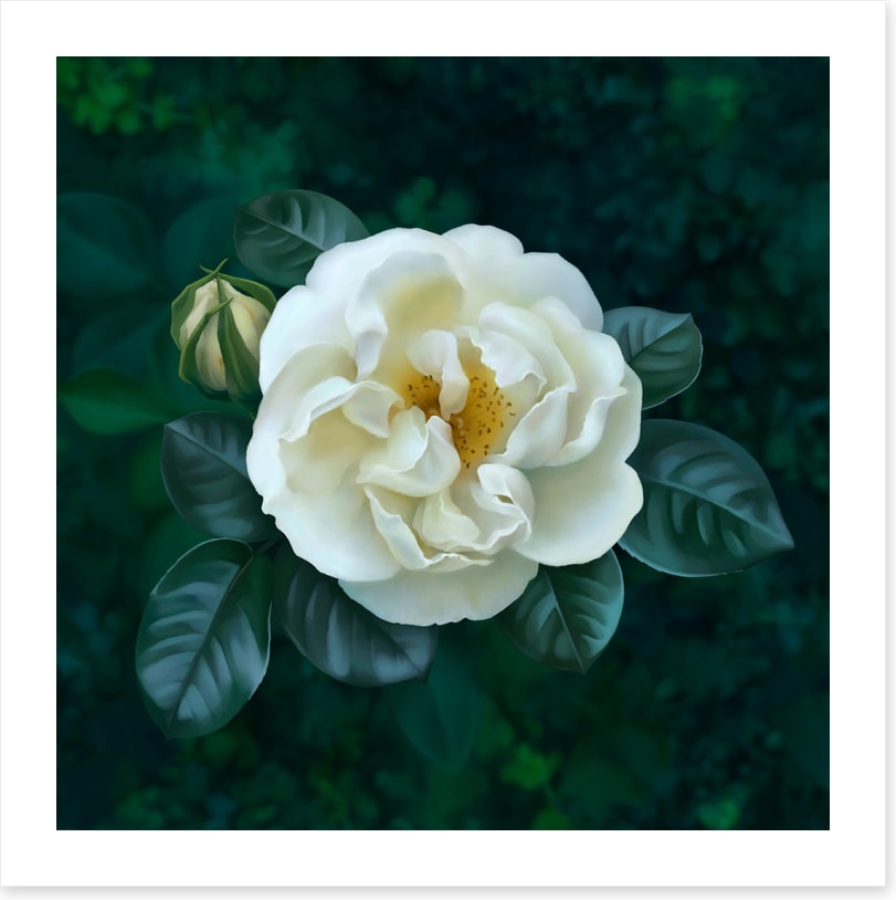 The garden pearl