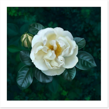 The garden pearl