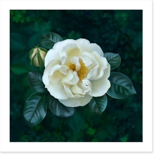 The garden pearl