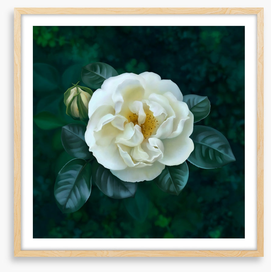 The garden pearl