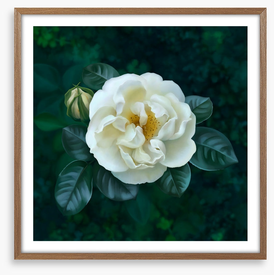 The garden pearl