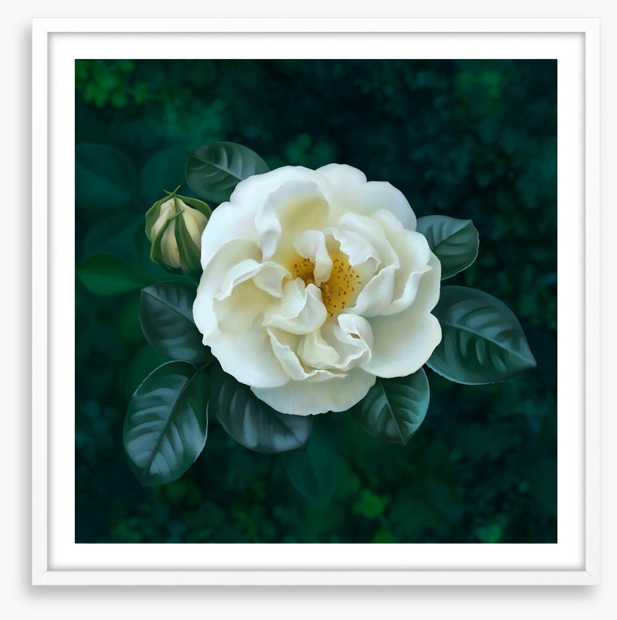 The garden pearl