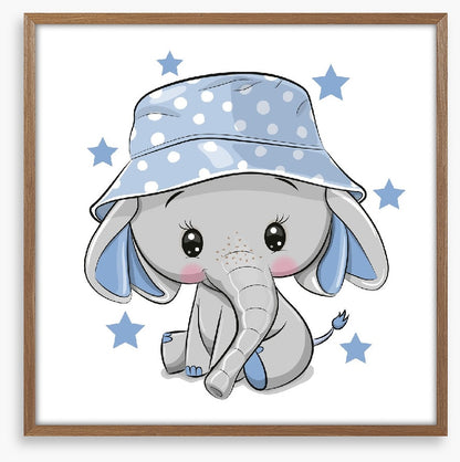 Elephants