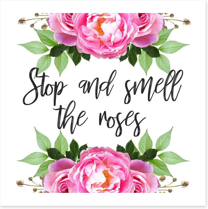 Smell the roses