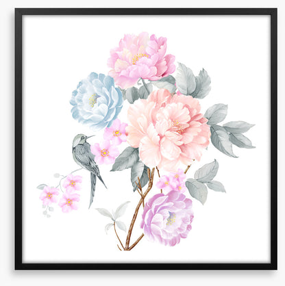 Wings of spring