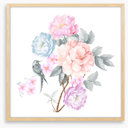 Wings of spring