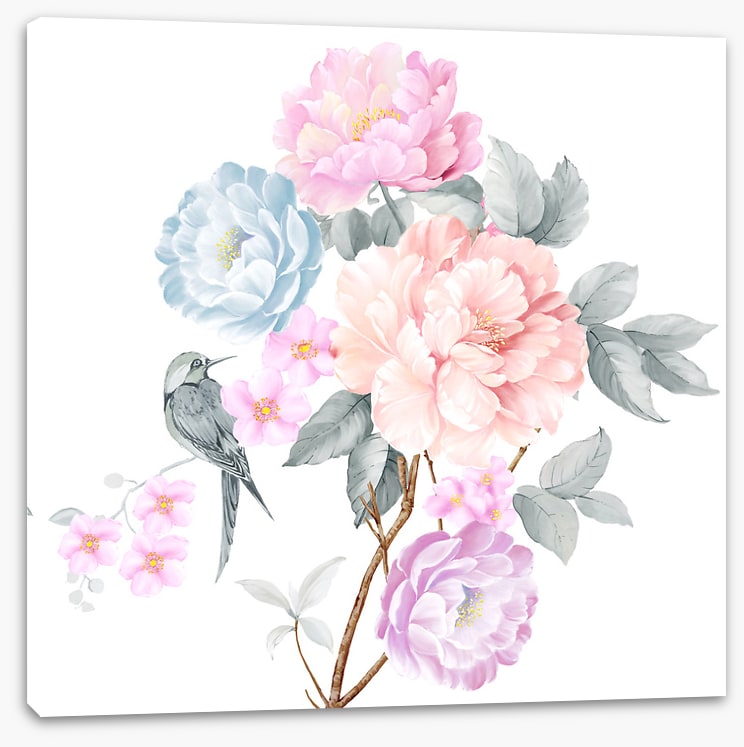 Wings of spring