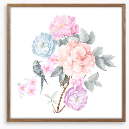 Wings of spring