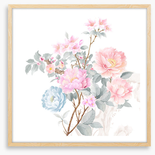 Petals of spring