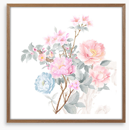 Petals of spring