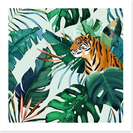 Animals