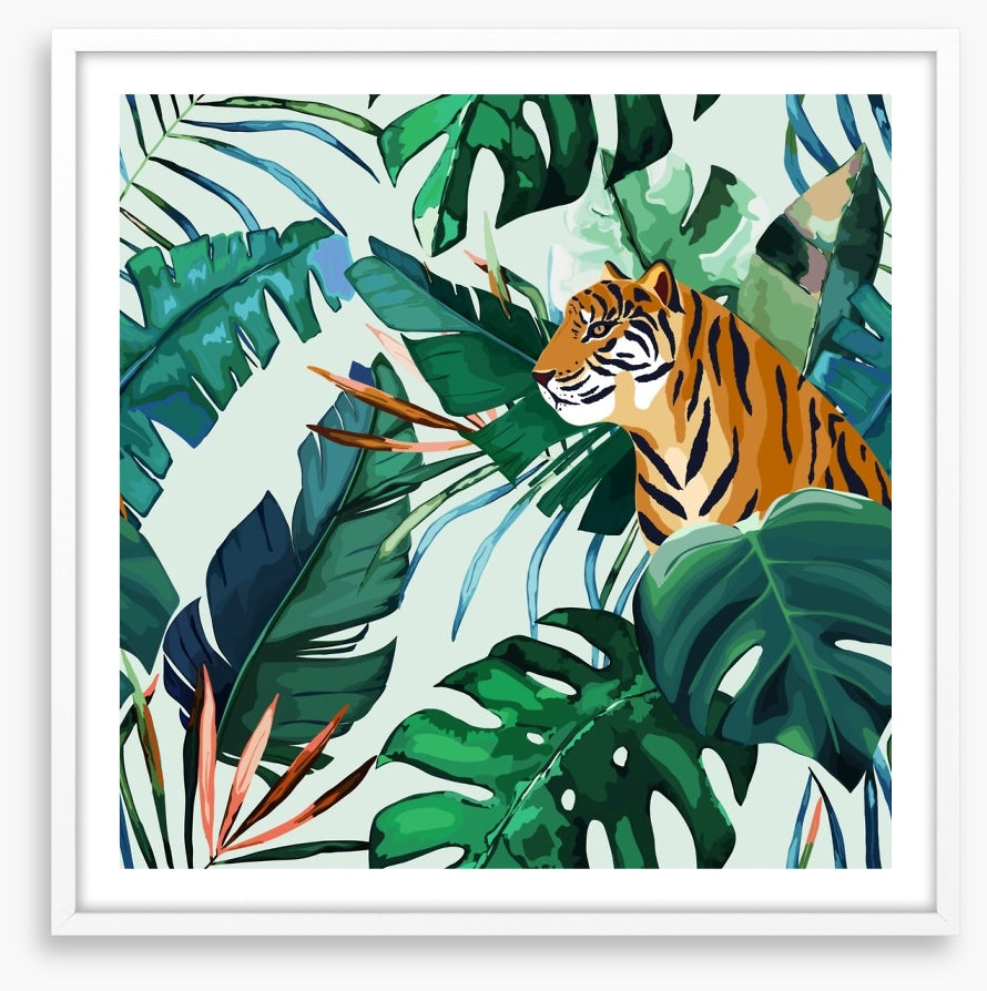 Animals